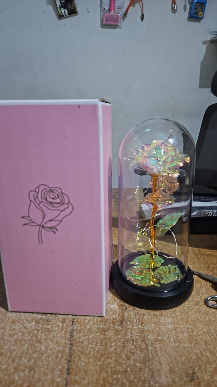 Eternal Bloom: Light Up Rose